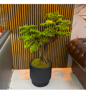 Yapay Bonsai Ağacı – Dekoratif